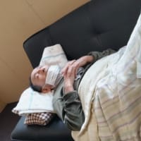 連れ合いの体調不良！