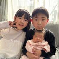 ブログじまい