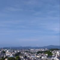 2025/06/21（土）　よもぎ白玉だんご