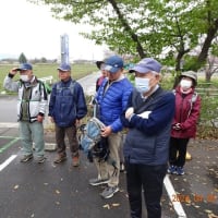 桜満開まであと一息　常福寺～桜川遊歩道コース