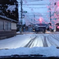 今朝のラン