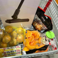 コストコ行ってきました