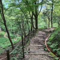 飯盛山登る〜香嵐渓