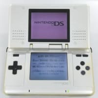 初代NintendoDSの下画面を交換する～それから～