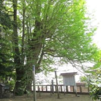 鹿嶋神社（茨城県日立市大久保）