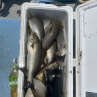 2号船午前便イサキ釣り1号船午前便タテ釣り