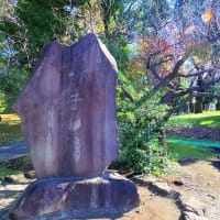 「町田三天神」の一社、本町田の鎮守「菅原神社」