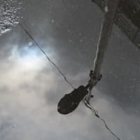 冷たくない水の中の小さな太陽　Un peu  soleil dans l'eau n'est pas froide.