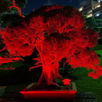 八芳園のRED GARDEN