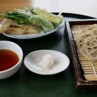 松本市梓川倭の手打蕎麦「シマ」で、野菜天ざるとそば茶ソフトクリームのランチ。