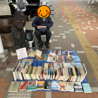2025年春の箱写真