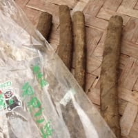 今週の野菜から ～6月〔3〕回目