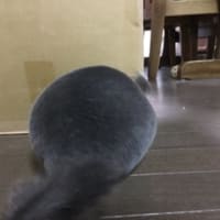 ダンボールの穴