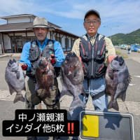 2025年6月分、パイン5号の釣果