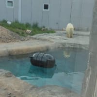 円山動物園