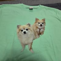 これって絶対着れないじゃん！
