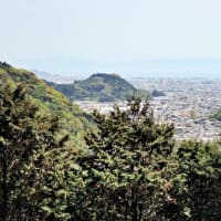 丸子城 駿河 その２ 　東海道を扼する規模が大きく城郭遺構がてんこ盛りの山城
