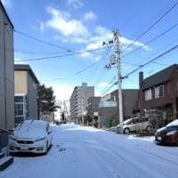 雪です