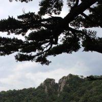 二ツ箭山登山 Gooブログはじめました