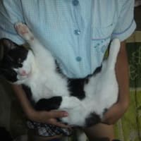 大きくなったよ！