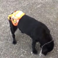 ついに、この日が…