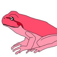 カエルのイラスト