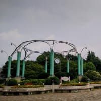 久しぶりの相模原公園