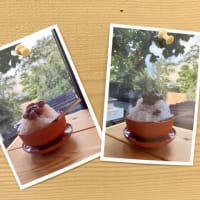 キーママのランチ