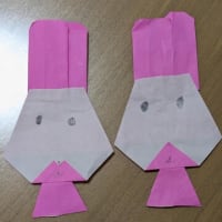 交流