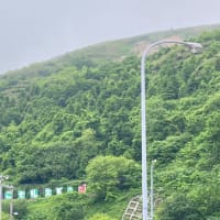 利尻島、礼文島の旅　2025/6/23〜25その2