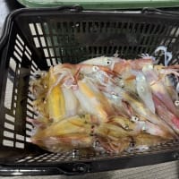 夜焚き