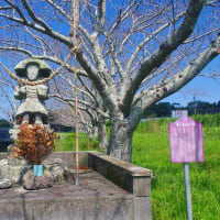 地頭所の田の神他