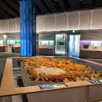 紫陽花まつり・郷土の森博物館