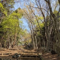 初めての山小屋一泊ハイキング　２日目