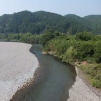 本日の海部川