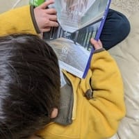 5歳児の住宅情報誌への興味