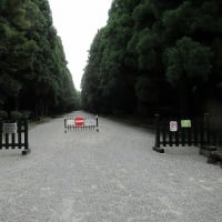 京都トレイルの伏見桃山城から大岩山経由稲荷山まで歩きました　その1　2024年7月9日