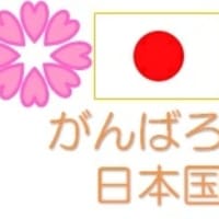 他国に日本国のオールを渡してどうする　20240325