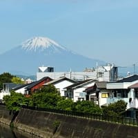 5月14日の夕暮れと15日の通勤富士山