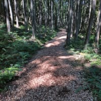 三ヶ月分の山行記録。