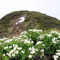花の雨飾山