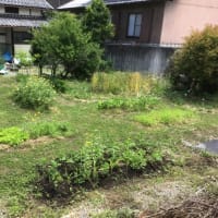 23年ぶりに機体製作してみる　ナルケホビー製　アセント スーパーアドバンテージ