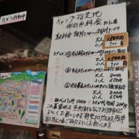 白駒の池でキャンプ