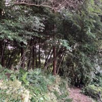 春日山作業