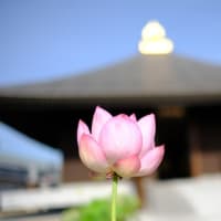 奈良　喜光寺