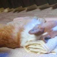 15才7か月15日・・・✨
