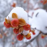 友人は大切なものなのだ。と考えたのである。（ロドスタ・ドリフト走行の恐怖）