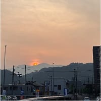 百日紅のお花が咲いていた ❣