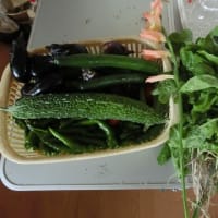 今までの収穫状況です