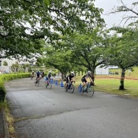 レース2戦目